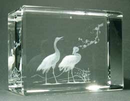 7_148201239 7_148201239